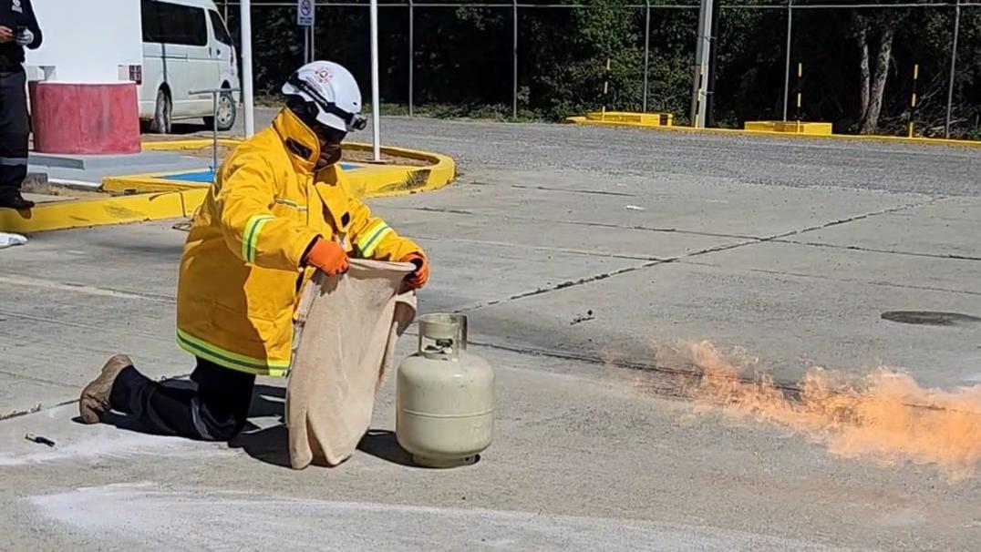 Imagen Representativa